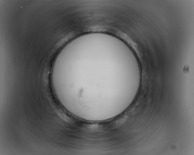 X0000101410153200807281033
