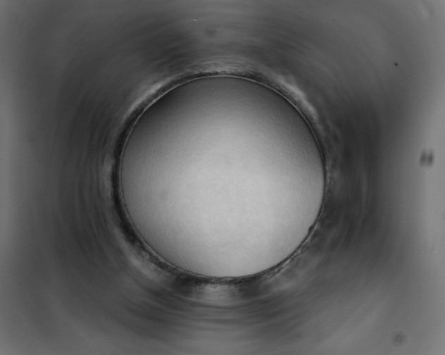 X0000101410154200807281033