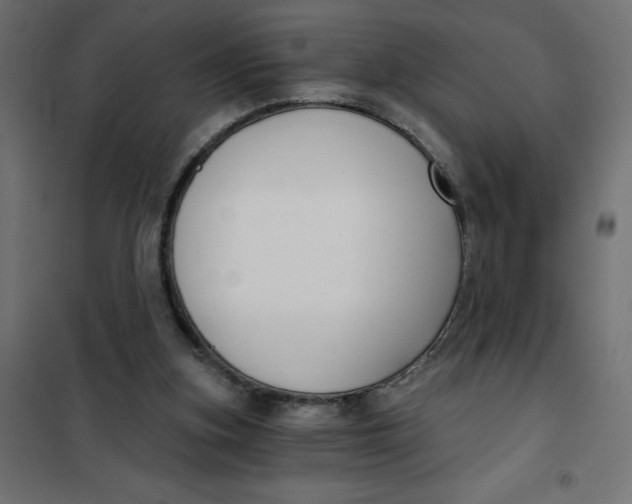 X0000101410155200807281033