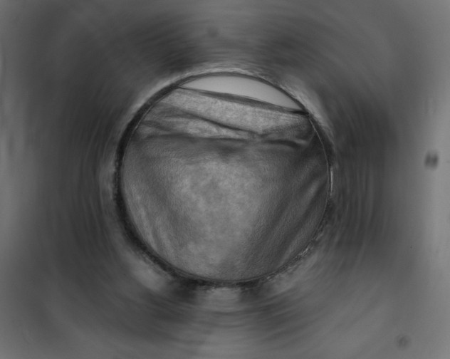 X0000101410156200807281034