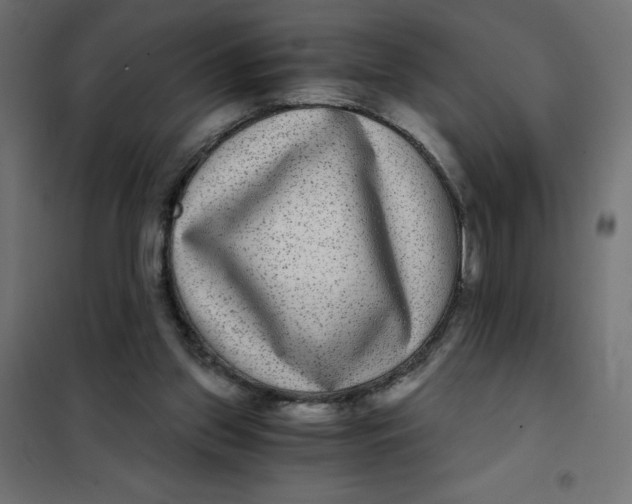 X0000101410157200807281034