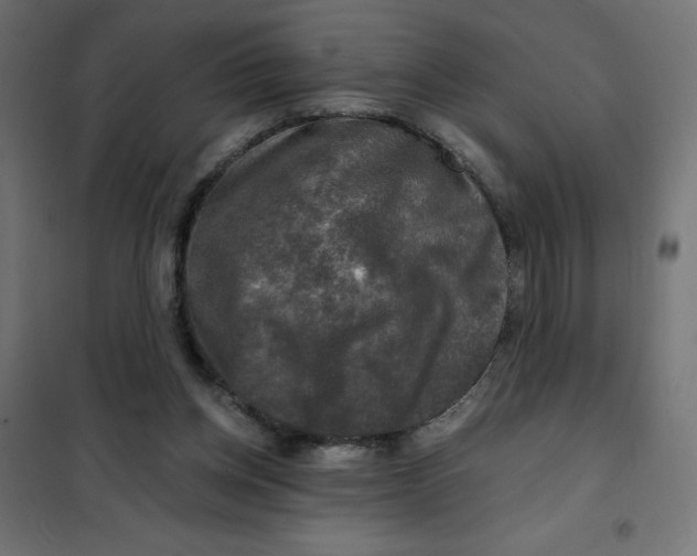X0000101410158200807281034