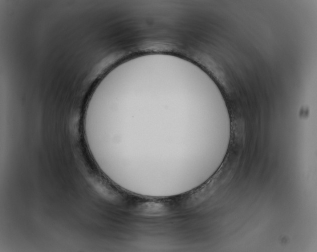 X0000101410159200807281034