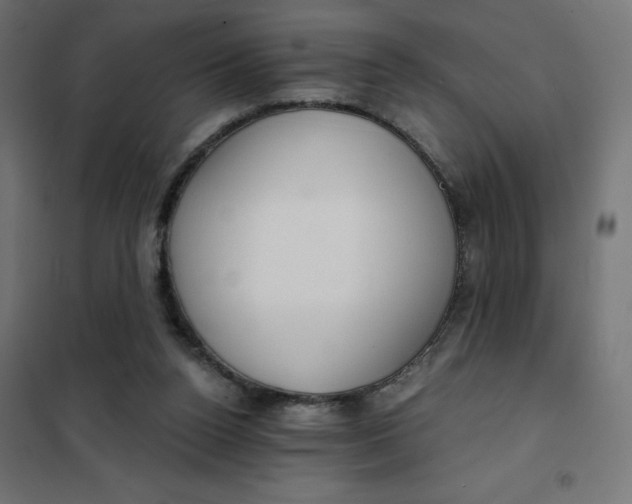 X0000101410160200807281034