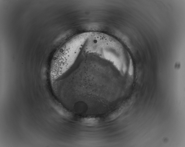 X0000101410161200807281034