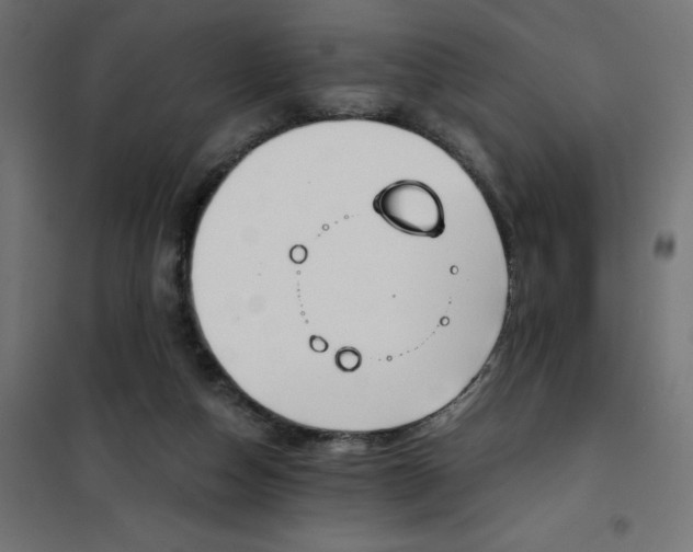 X0000101410162200807281034