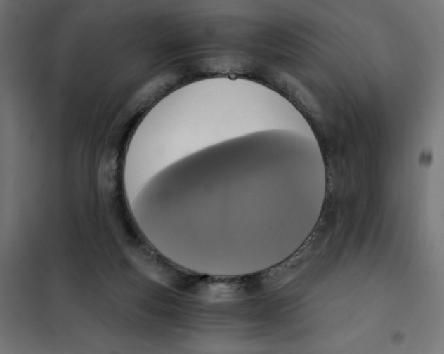 X0000101410163200807281034