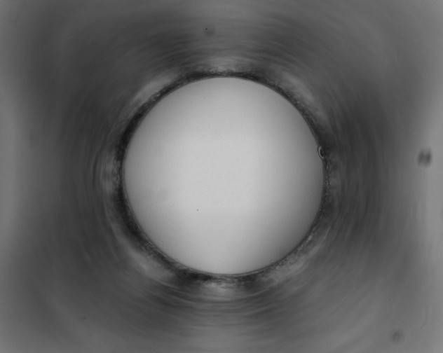 X0000101410164200807281034