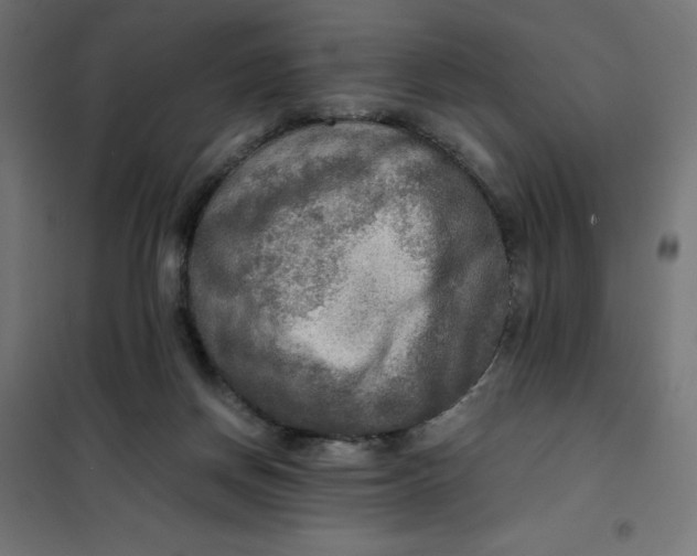 X0000101410166200807281034