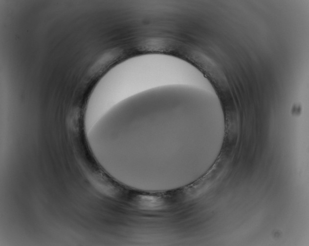 X0000101410167200807281034
