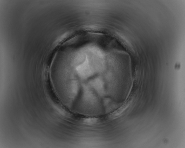 X0000101410168200807281034