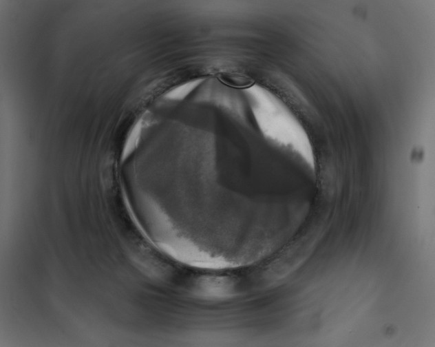X0000101410169200807281034