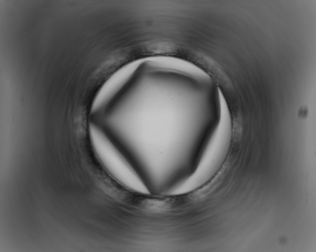 X0000101410170200807281034