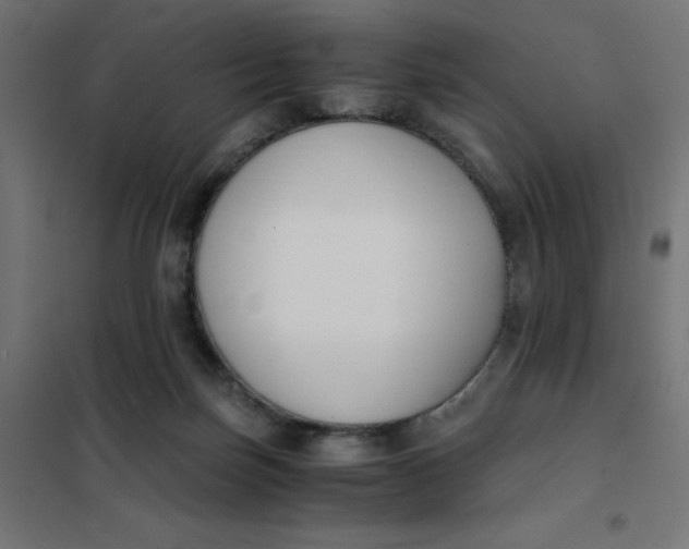 X0000101410171200807281034