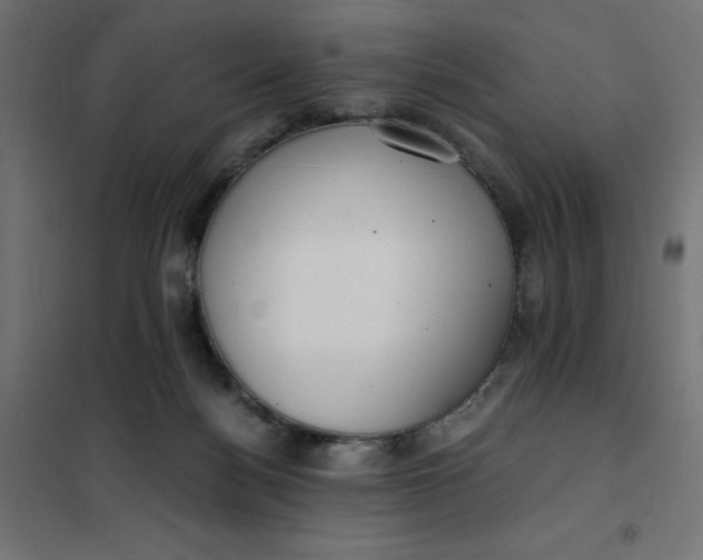 X0000101410172200807281034