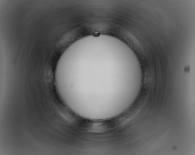 X0000101410173200807281034