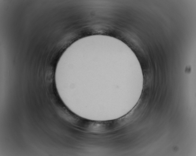 X0000101410174200807281034