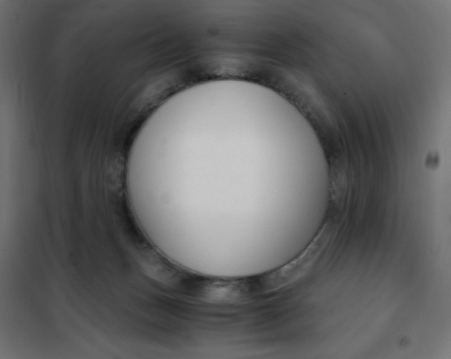 X0000101410175200807281034