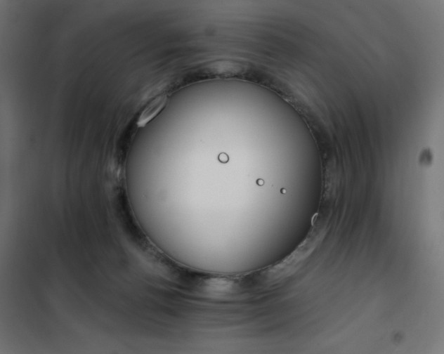 X0000101410176200807281034