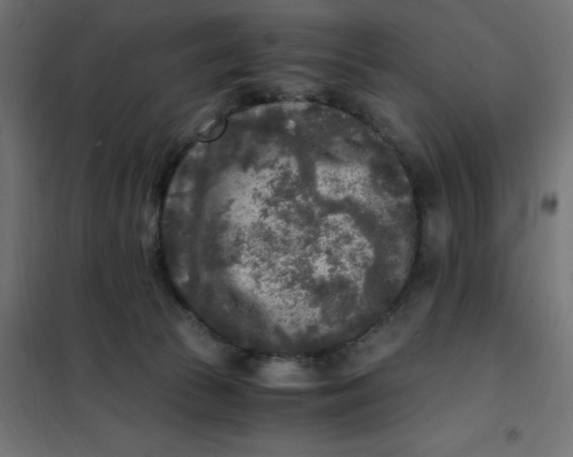 X0000101410177200807281034