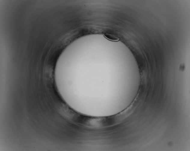 X0000101410178200807281034