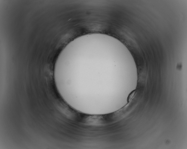 X0000101410179200807281034