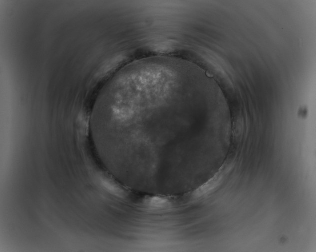 X0000101410180200807281034