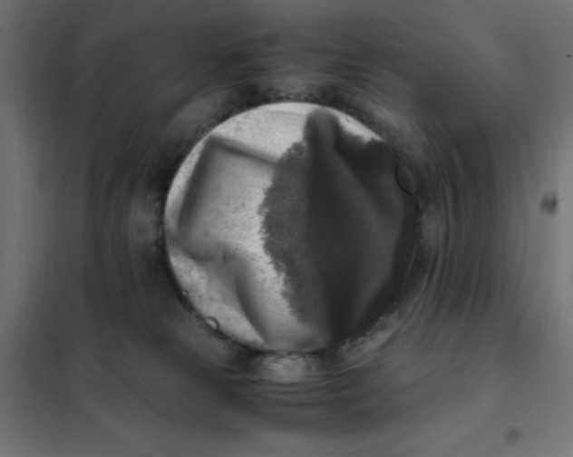 X0000101410181200807281034