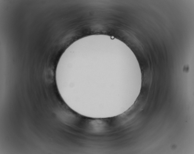 X0000101410183200807281034