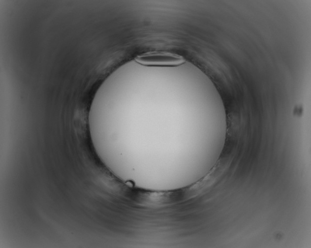 X0000101410184200807281034