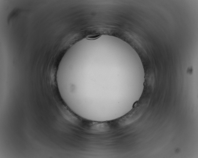 X0000101410185200807281034
