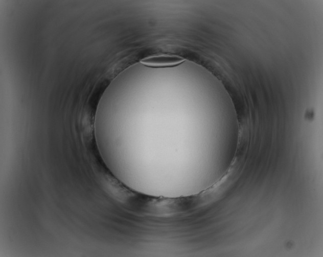 X0000101410186200807281034