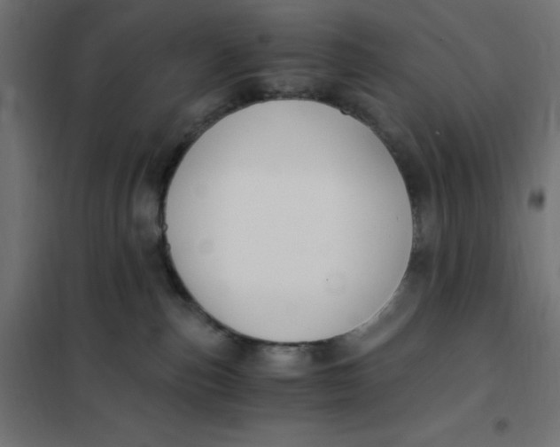 X0000101410187200807281034