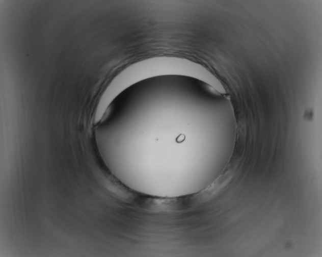 X0000101410188200807281034