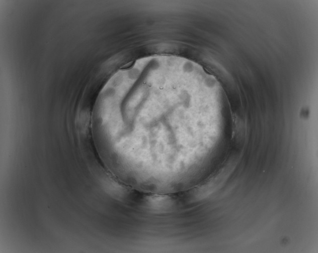 X0000101410189200807281034