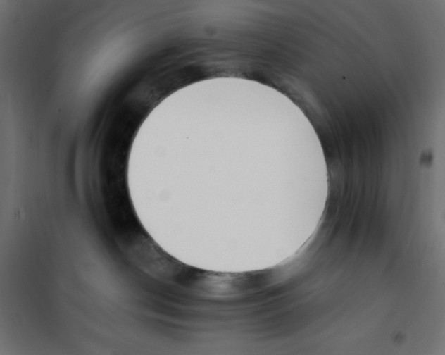 X0000101410190200807281034