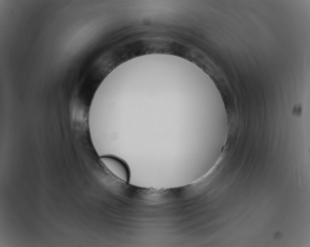 X0000101410191200807281034