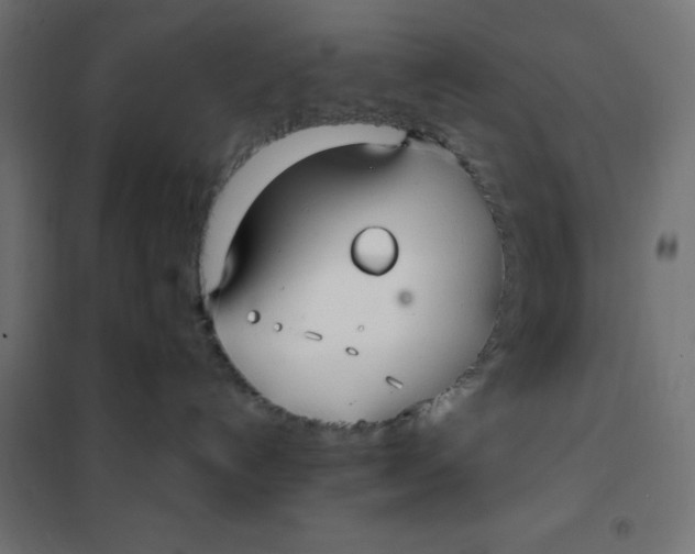 X0000101410192200807281034