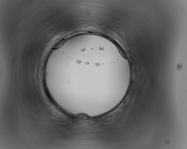 X0000101410193200807281033