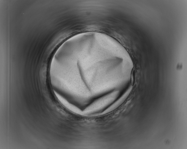 X0000101410194200807281033