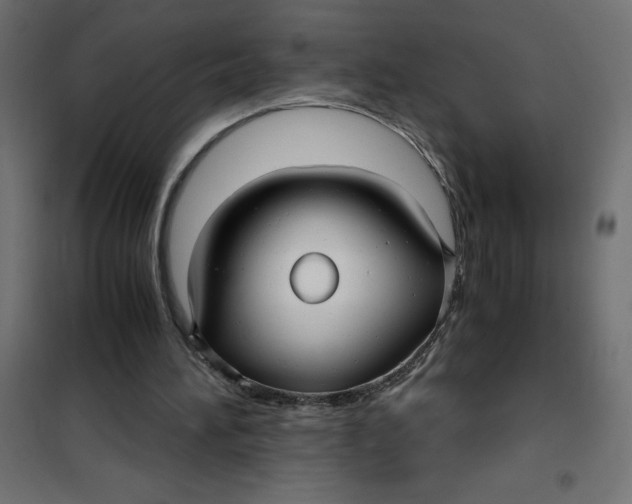 X0000101410196200807281033