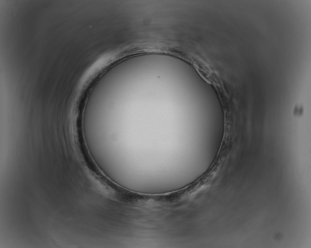 X0000101410197200807281033