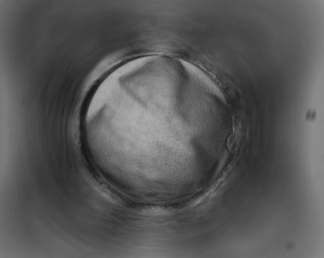 X0000101410198200807281033