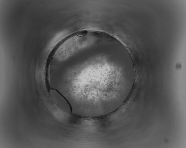 X0000101410199200807281033