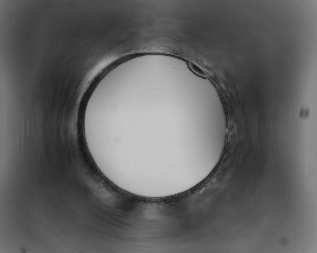 X0000101410200200807281033