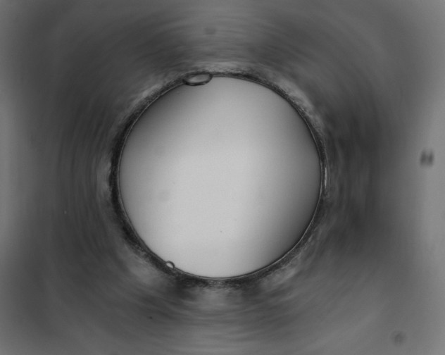 X0000101410201200807281033