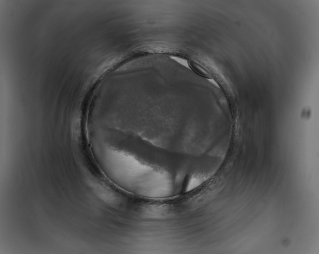 X0000101410202200807281033