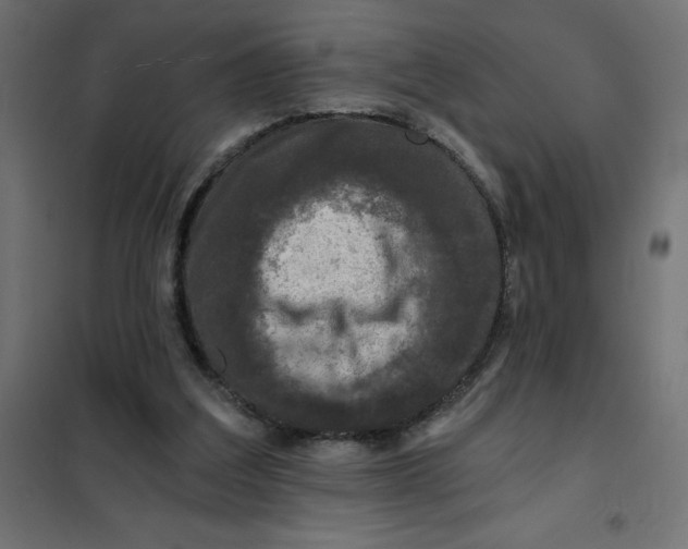 X0000101410203200807281033