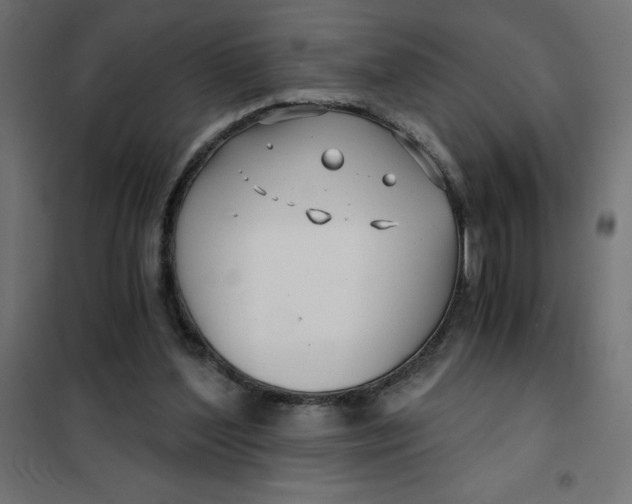 X0000101410204200807281033