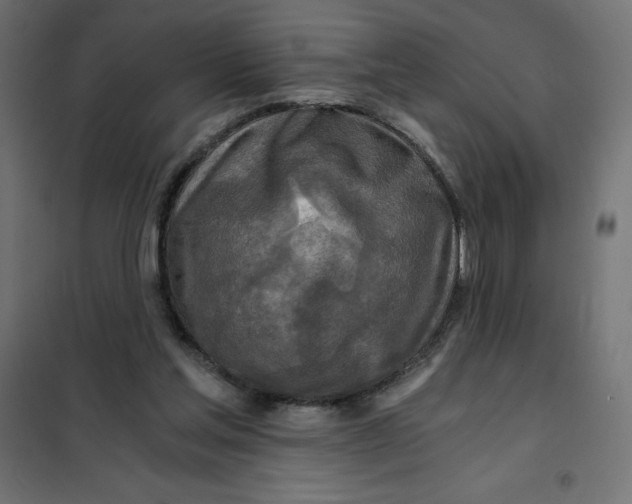 X0000101410205200807281033